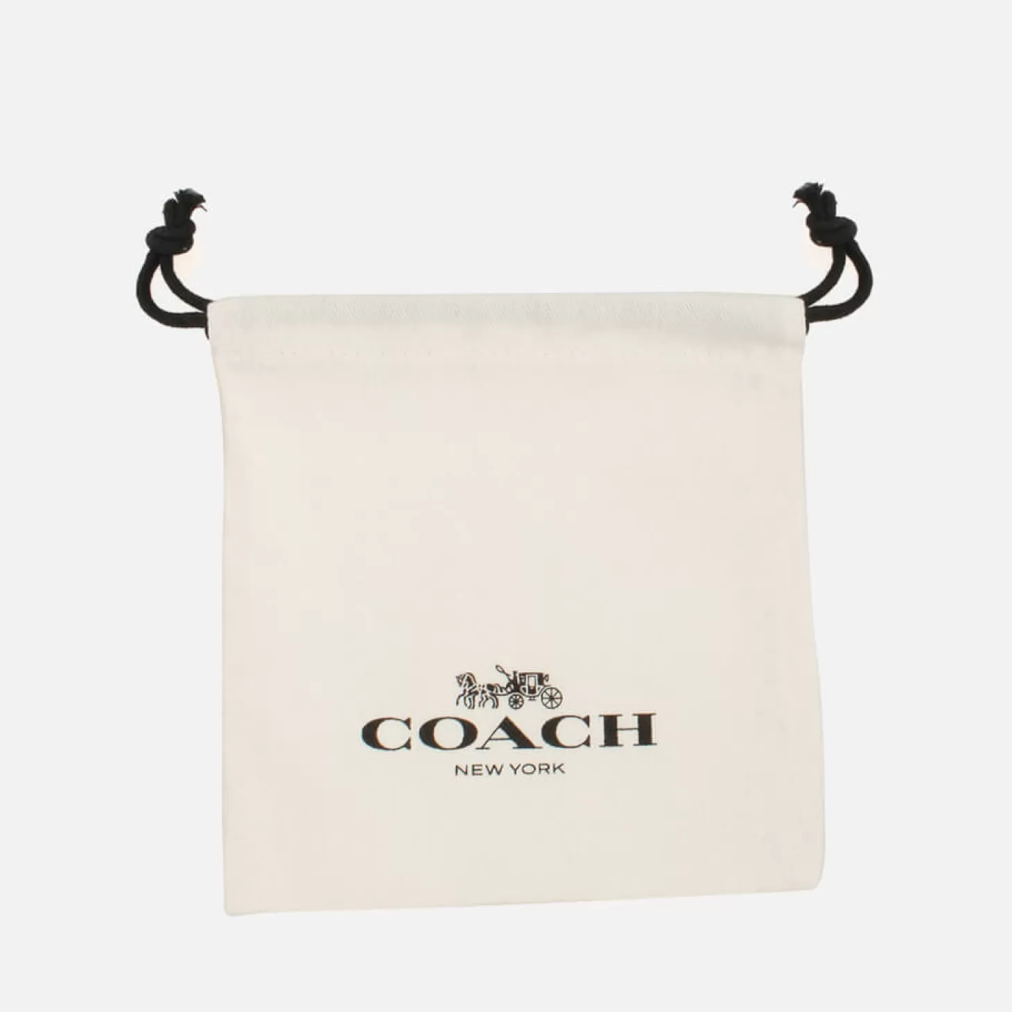 Charming Crystals Silver-Plated Earrings*Coach Flash Sale