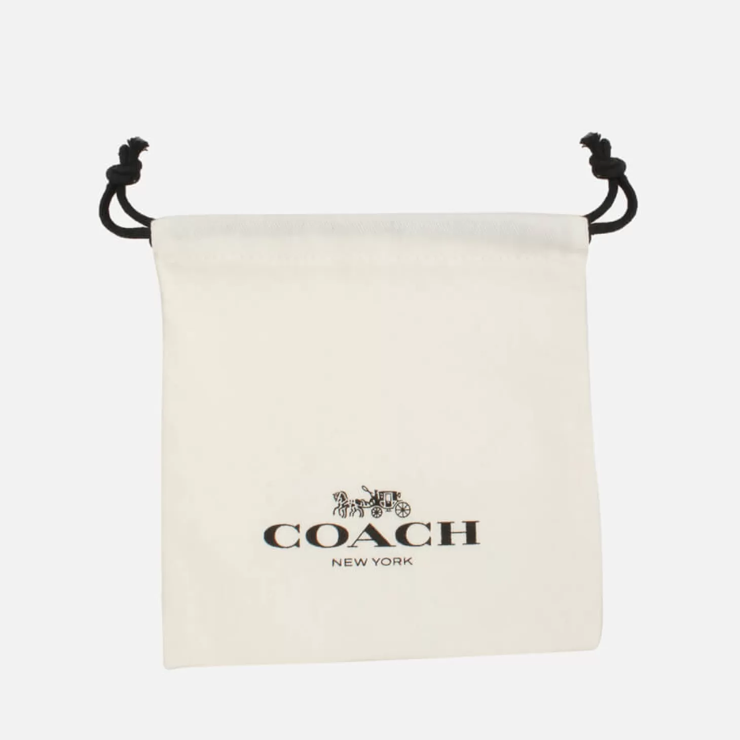 Core Essentials Gold-Plated Earrings*Coach Cheap