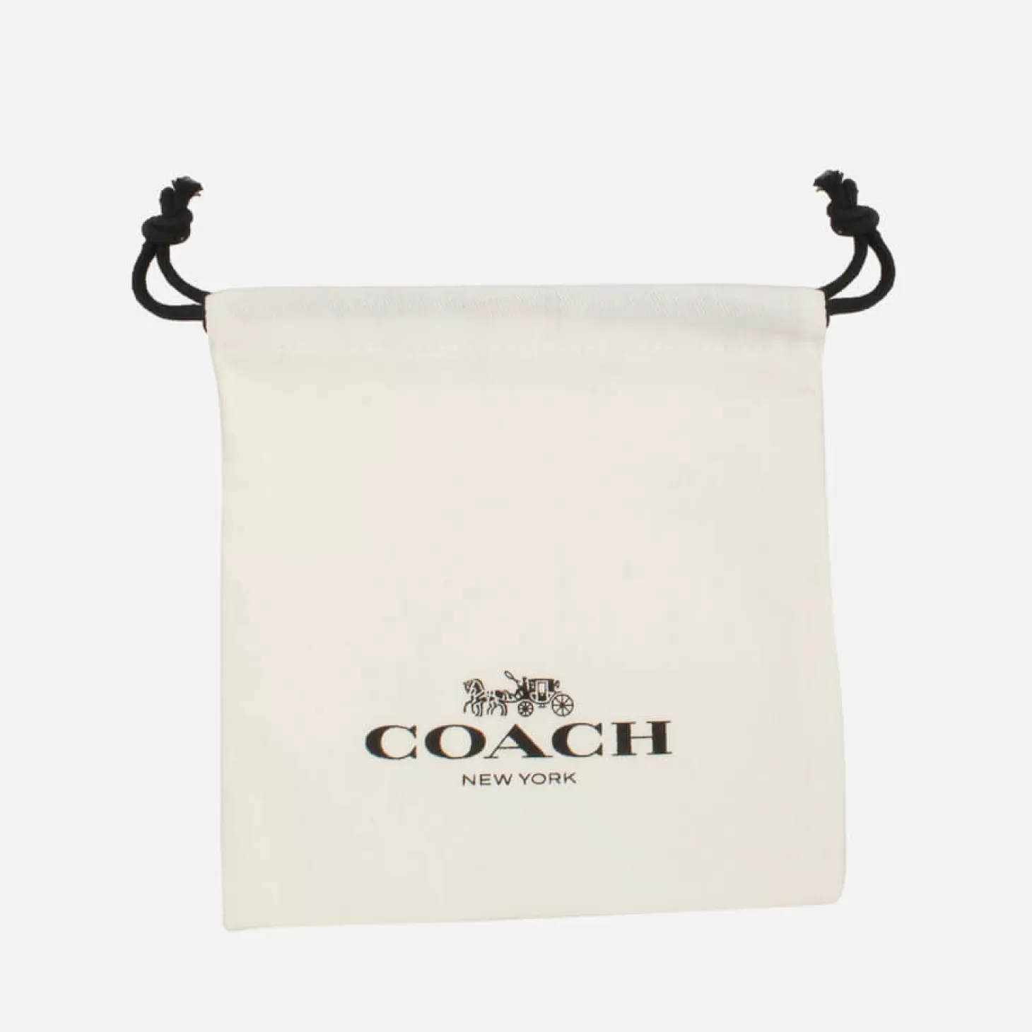 Core Essentials Gold-Plated Necklace*Coach Online