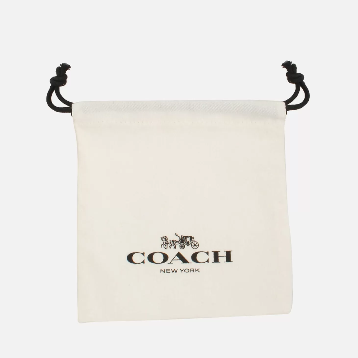 Core Essentials Plated Earrings*Coach Online