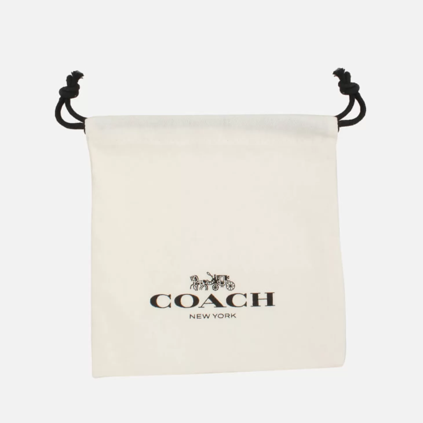 Core Essentials Silver-Plated Earrings*Coach Clearance