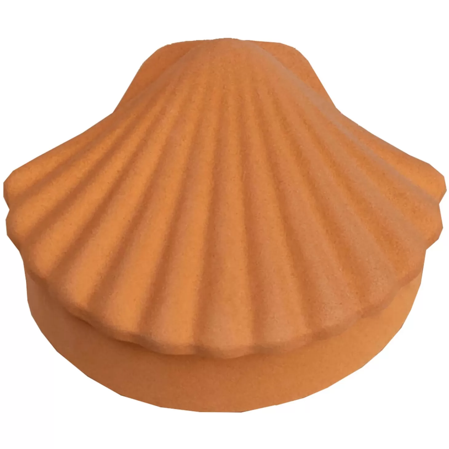 Seashell Box - Amber*Los Objetos Decorativos Clearance