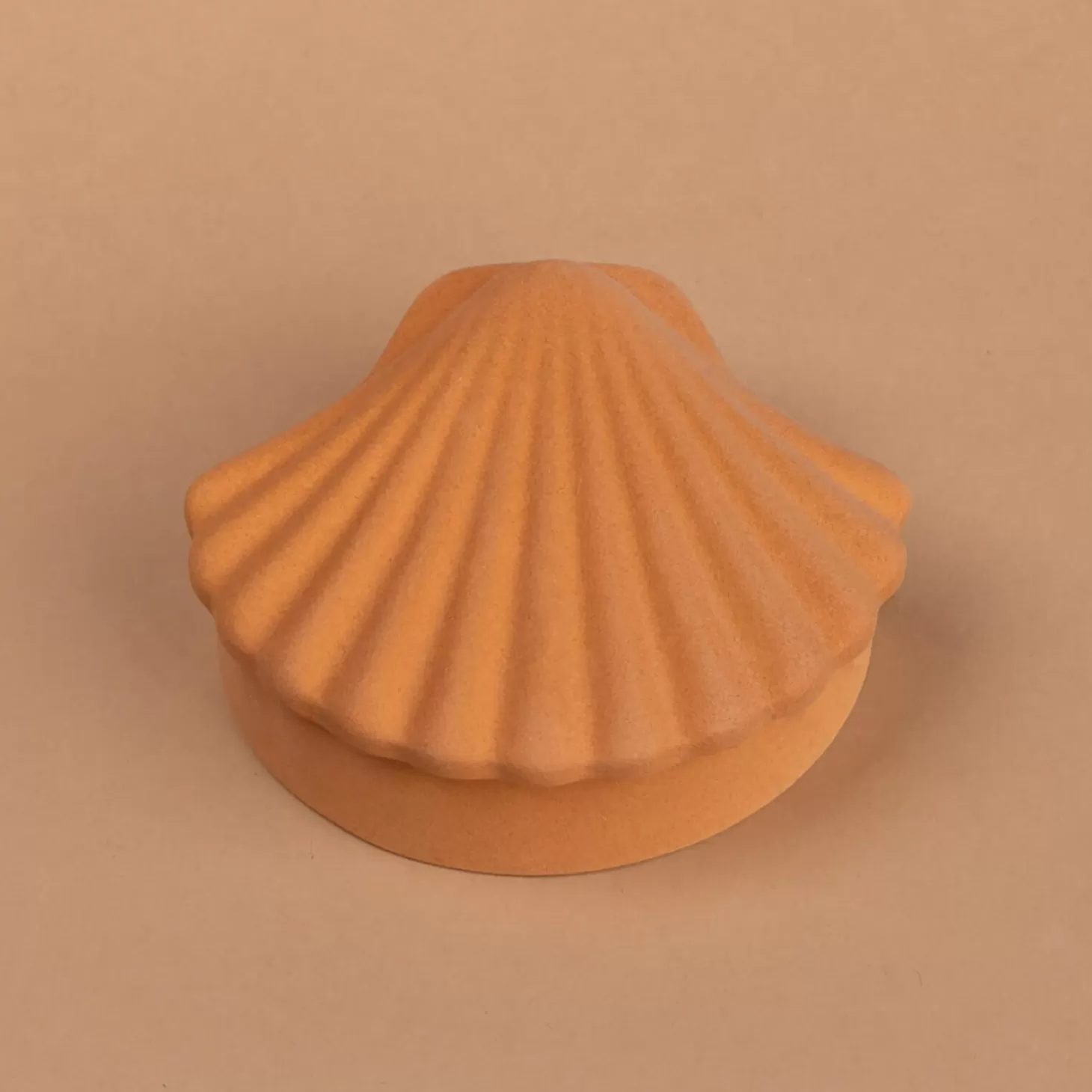 Seashell Box - Amber*Los Objetos Decorativos Clearance