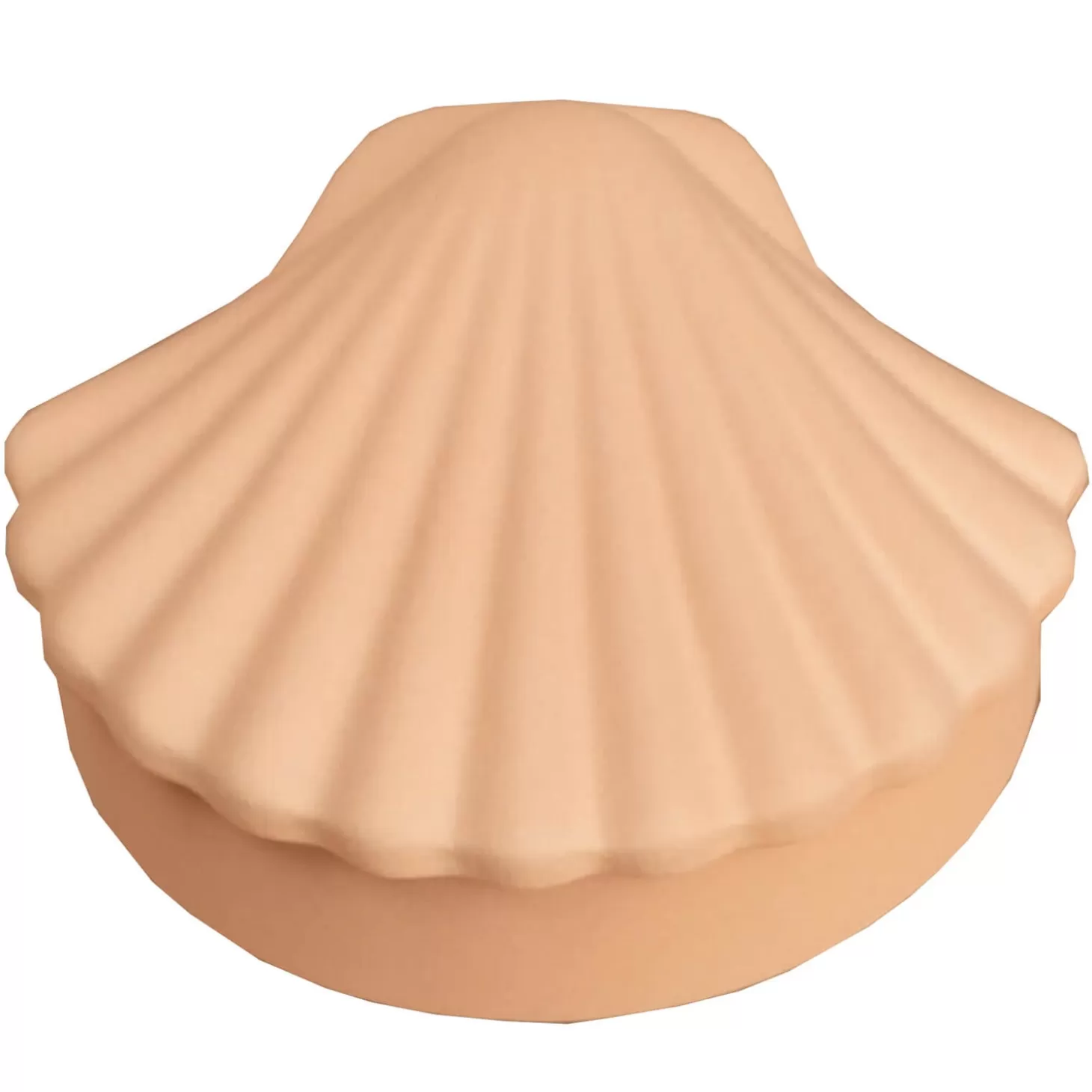 Seashell Box - Ecru*Los Objetos Decorativos Shop