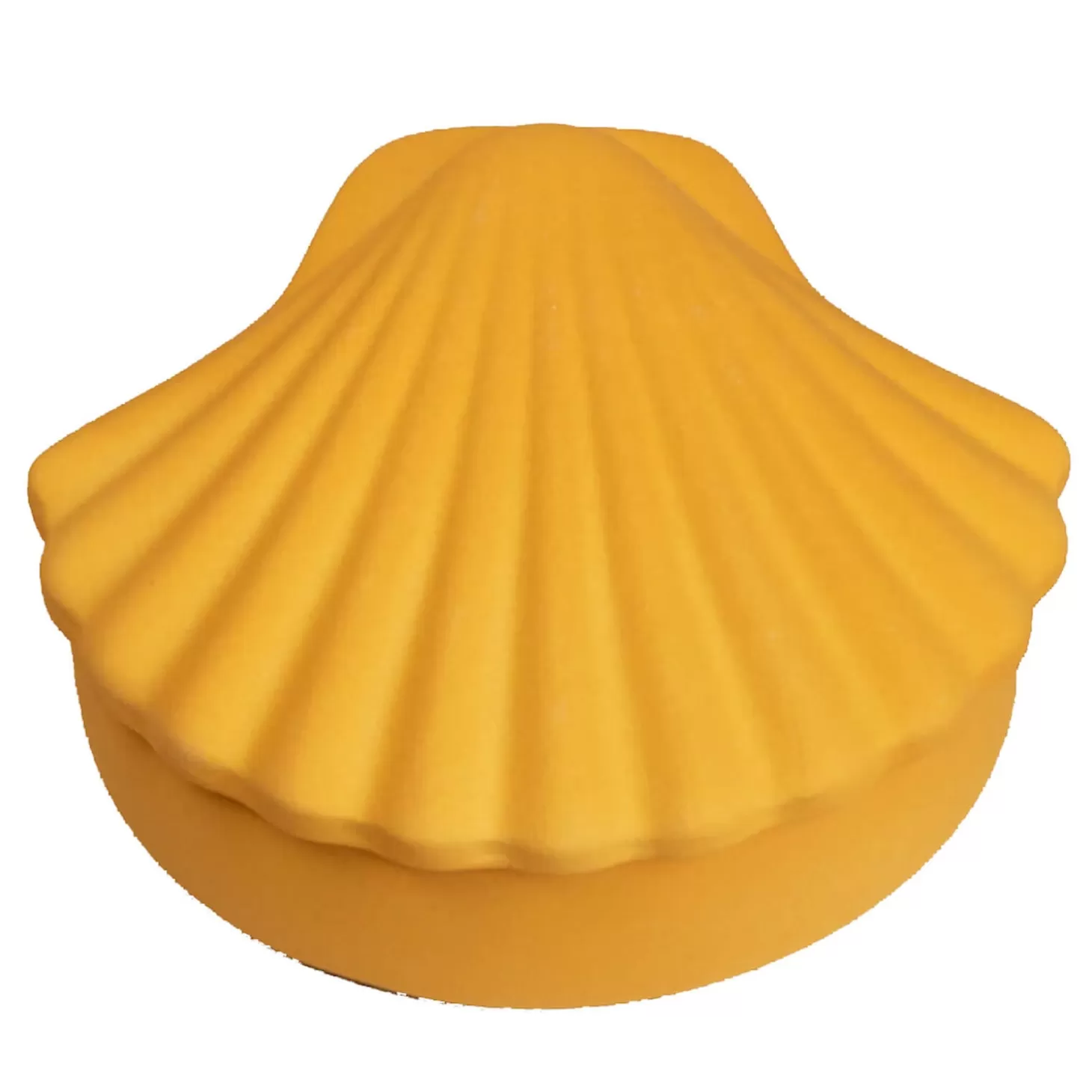 Seashell Box - Honey*Los Objetos Decorativos Best Sale