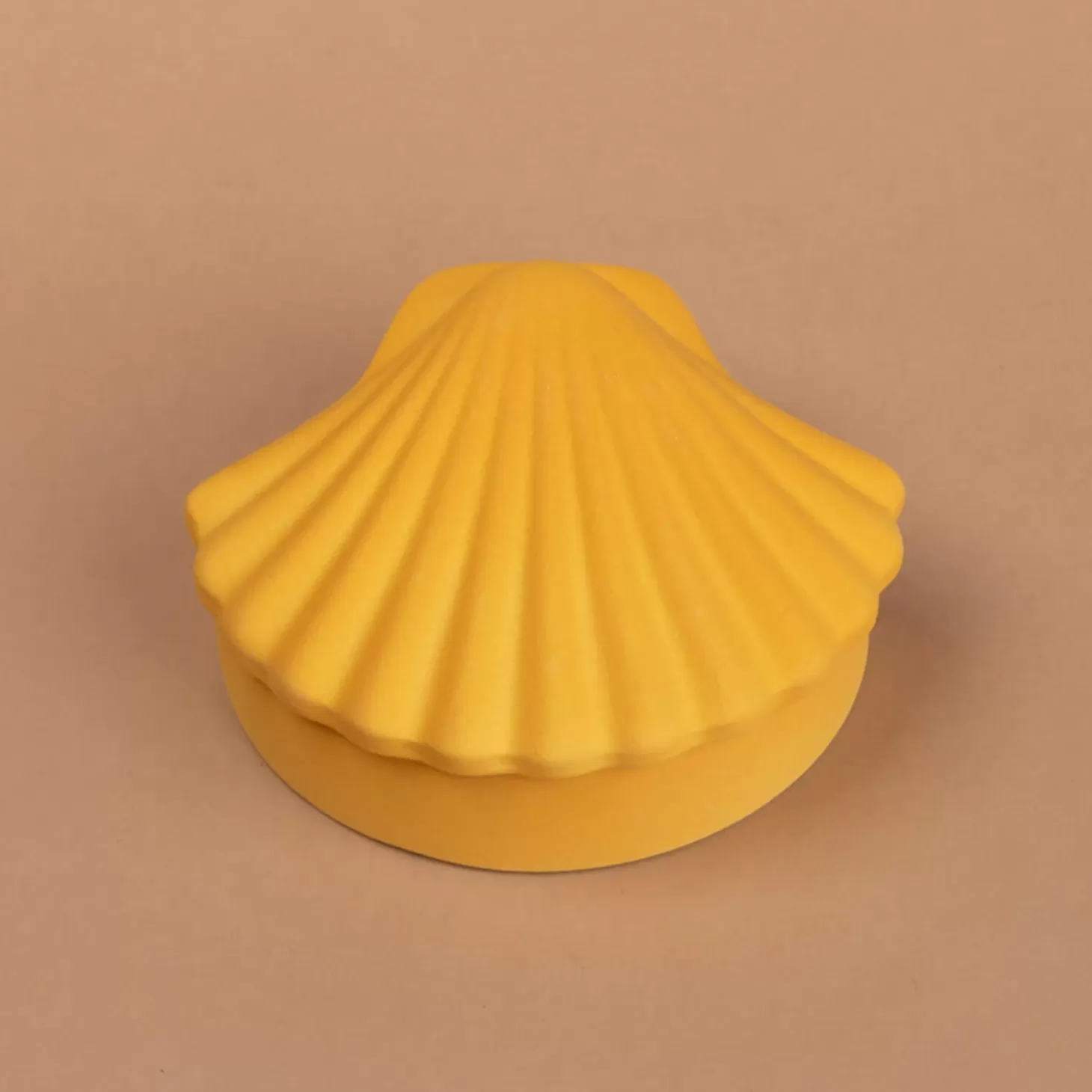 Seashell Box - Honey*Los Objetos Decorativos Best Sale