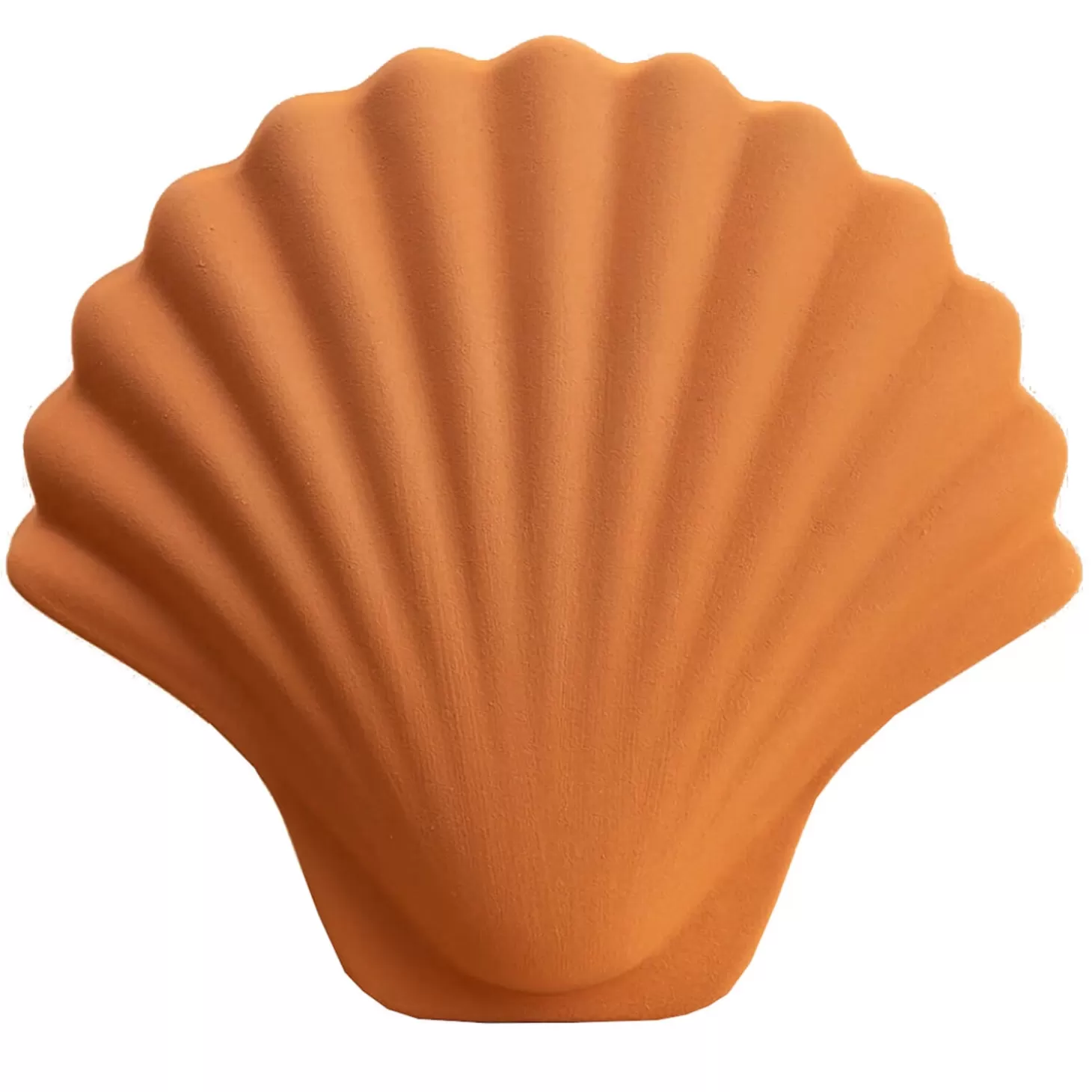 Seashell Vase - Amber*Los Objetos Decorativos Outlet