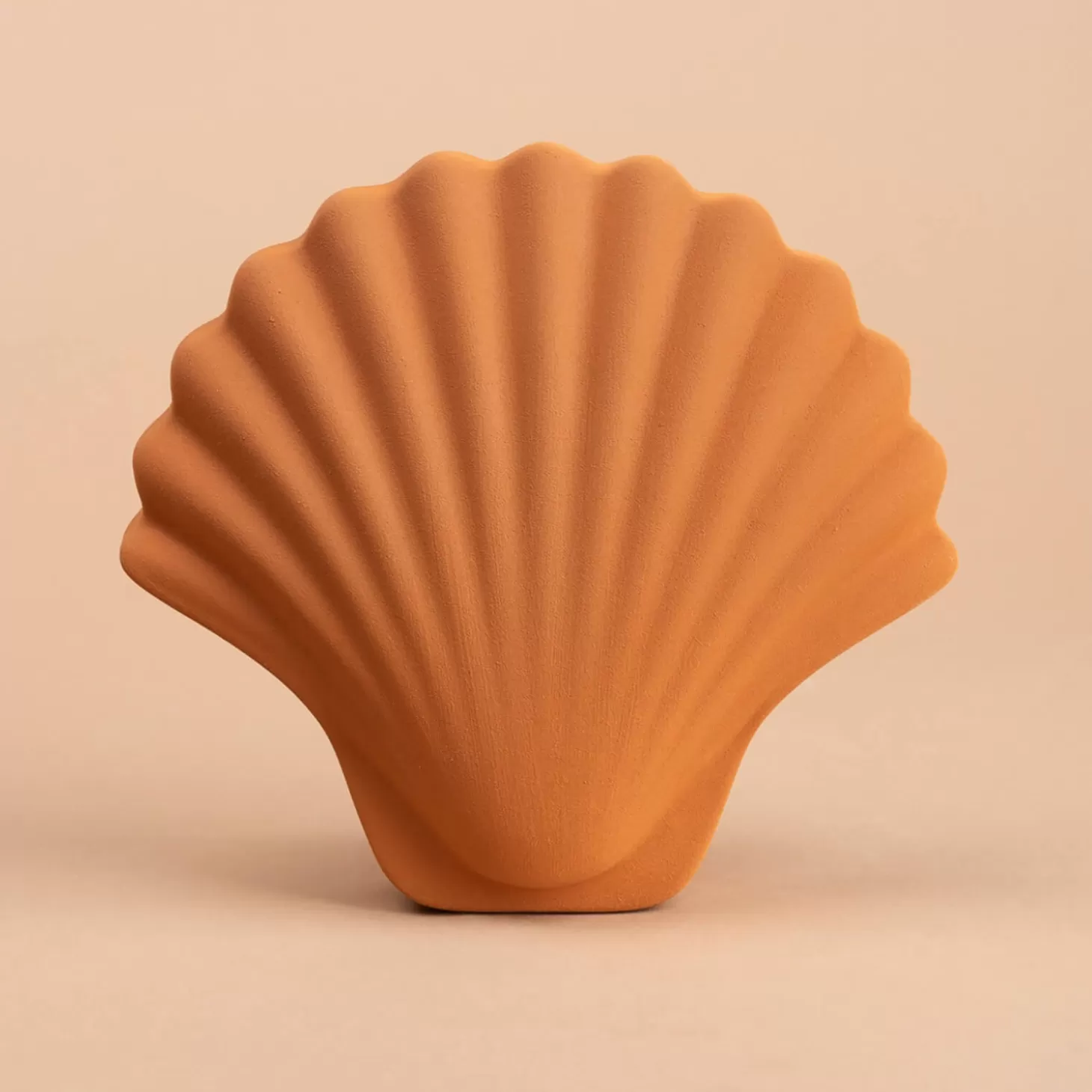 Seashell Vase - Amber*Los Objetos Decorativos Outlet