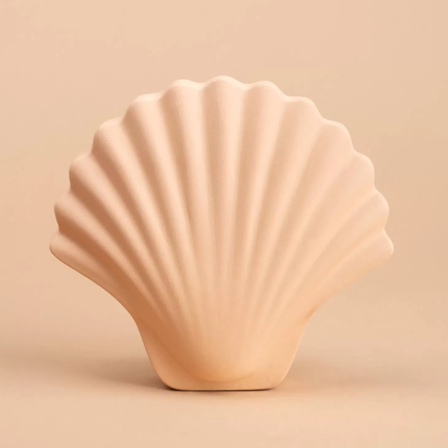 Seashell Vase - Ecru*Los Objetos Decorativos Fashion