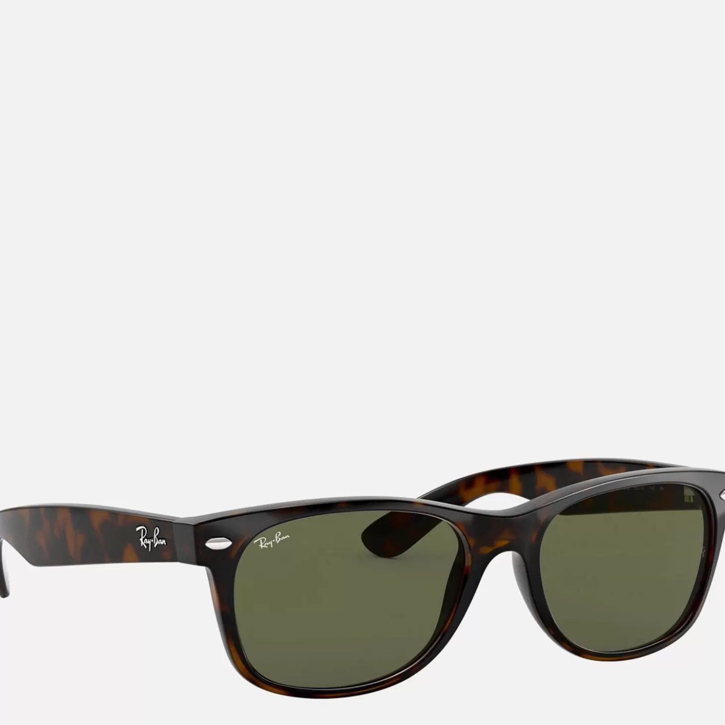 New Wayfarer Acetate Wayfarers - Tort*Ray-Ban Store